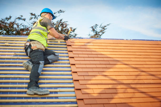 Best Sheet Metal Roofing  in Elk Grove, CA